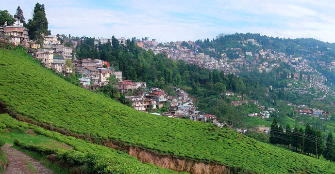 A view of Darjeeling from the Happy Valley Tea Estate